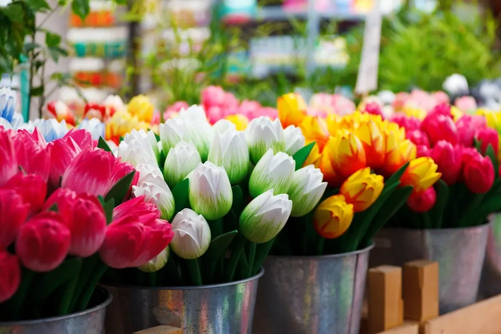 Tulipanes de colores en cubos de metal
